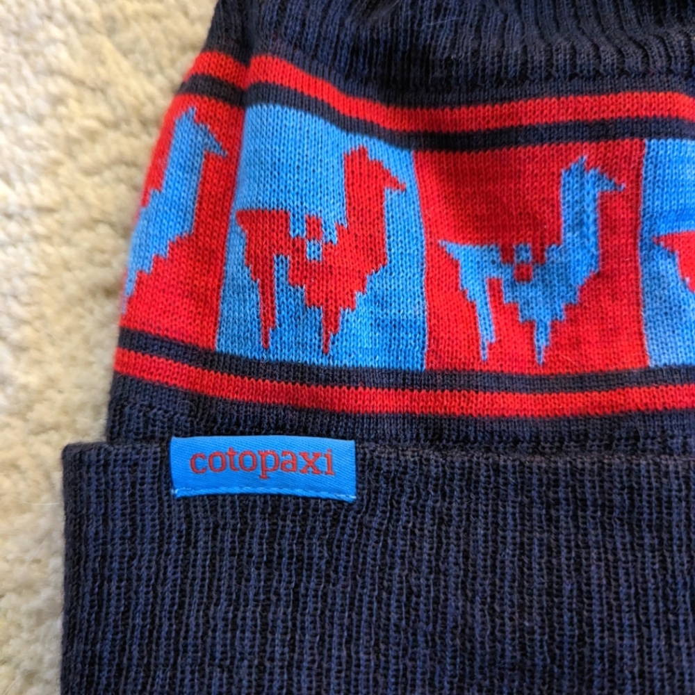 Cotopaxi beanie